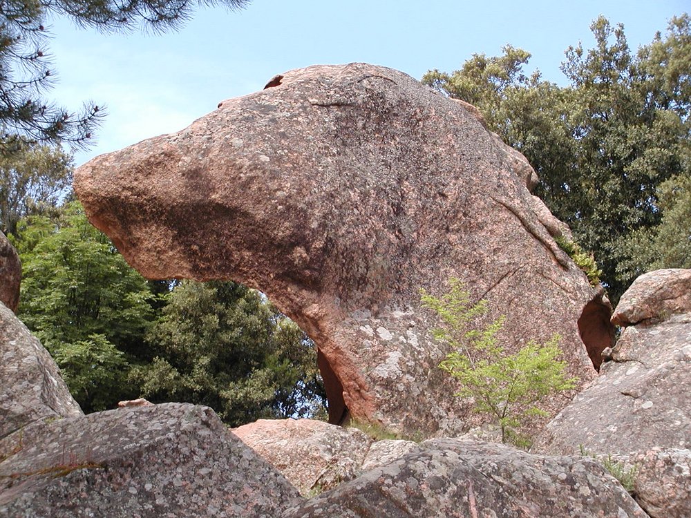 The Dog's Head Rock